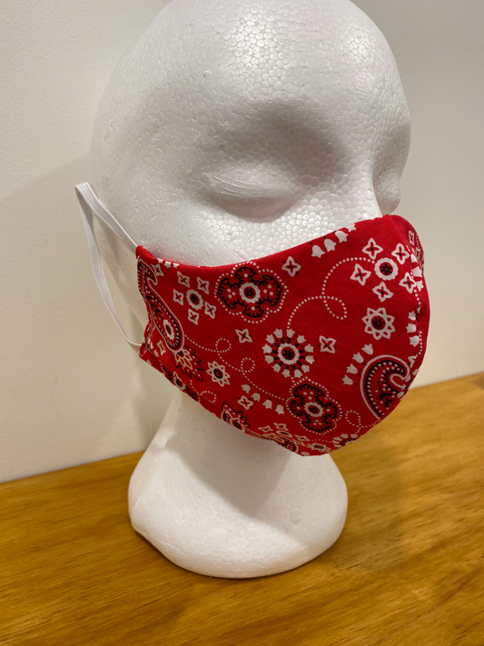 Red Paisley Face Mask